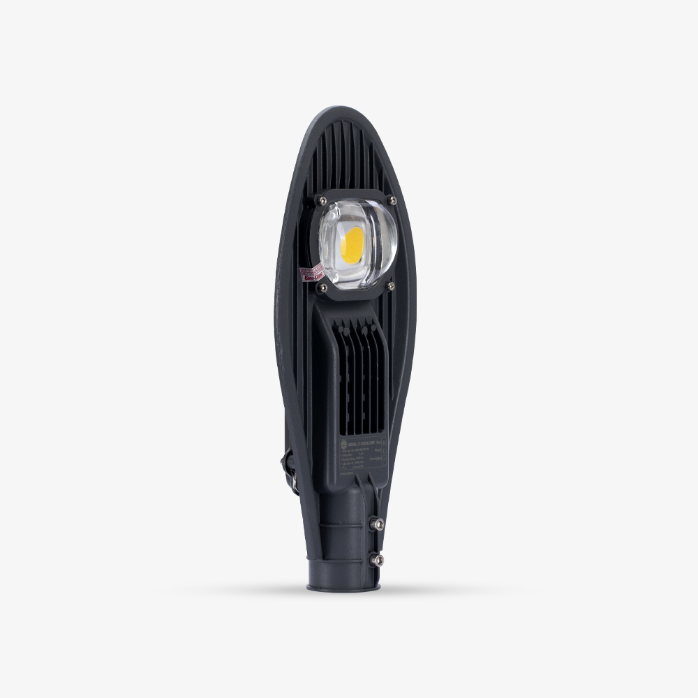 đèn đường led csd02 30w rạng đông