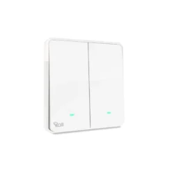 Công tắc cơ điện tử 2 chiếu Rạng Đông CTC2C WF V1 02 ralli
