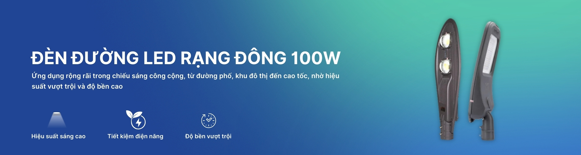 Đèn Đường Led 100W Rạng Đông Banner