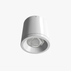 Đèn LED downlight nổi trần Rạng Đông NT01 110 10W mau trang