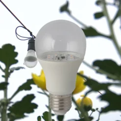 Đèn LED Hoa cúc Rạng Đông hc A60 6W wr