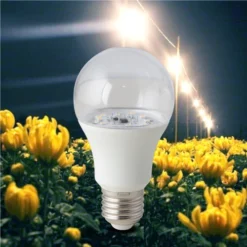 Đèn LED Hoa cúc Rạng Đông LED hc A60 9W