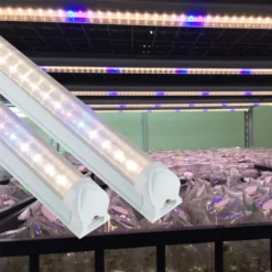 Đèn LED nuôi cấy mô Rạng Đông ncm 1200 16W wbu