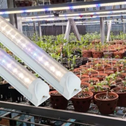 Đèn LED nuôi cấy mô Rạng Đông ncm 1200 25W wbu