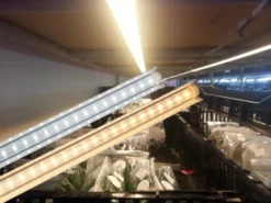 Đèn LED nuôi cấy mô Rạng Đông NCM02 1200 10W