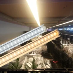 Đèn LED nuôi cấy mô Rạng Đông NCM02 1200 10W