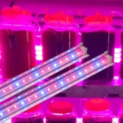 Đèn LED nuôi tao Rạng Đông LED T25W 120 br
