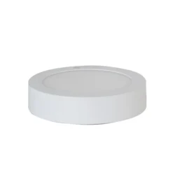 Đèn LED ốp trần tròn 172 12W LN09 mặt ngang