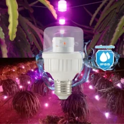 Đèn LED thanh long 5W Rạng Đông T60 tl xw