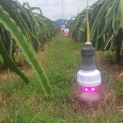 Đèn LED thanh long 5W Rạng Đông T60 tl xw thuc te 1