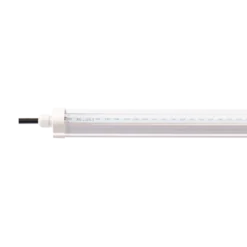 Đèn LED trồng cây Rạng Đông T8 lt 1200 30W wbu IP65