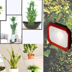 Đèn LED trồng cây trong nha Rạng Đông CX50W wr 220V ứng dùng