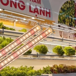 Đèn LED trong rau Rạng Đông LED trr 25W 120 wr mặt truoc 1