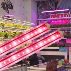 Đèn LED trong rau Rạng Đông trr 120 25W 100 red ánh sáng độ