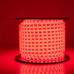 LED dây trang tri Rạng Đông LD01 r 1000 7W mau độ