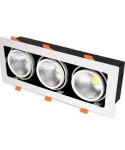 den roi am tran hop ba mat grill light