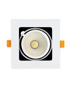 den roi am tran hop don grill light 2