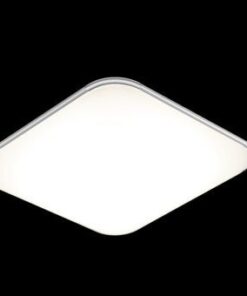 DL Q202