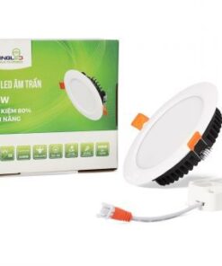 downlight am tran 12w