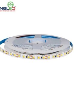 led dan dc12v 12w 2