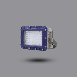 Đèn pha chống cháy nổ EEW 100W ELL601-100 Paragon