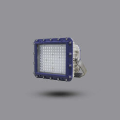 Đèn pha chống cháy nổ EEW 150W ELL601-150 Paragon