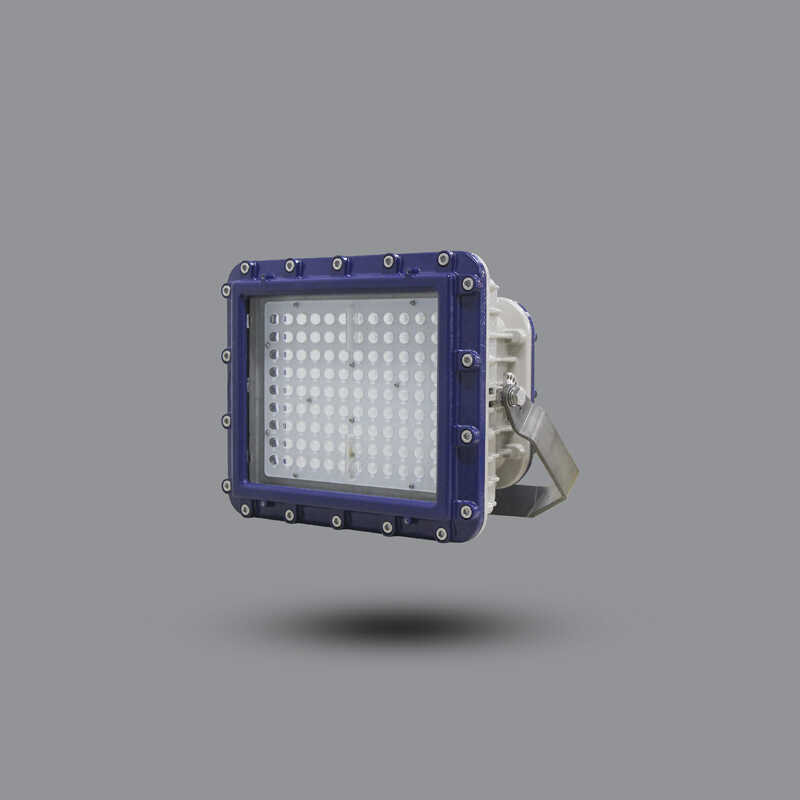 Đèn pha chống cháy nổ EEW 150W ELL601-150 Paragon