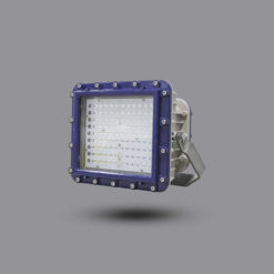 Đèn pha chống cháy nổ EEW 240W ELL601-240 Paragon