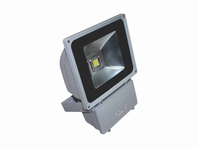 Đèn led pha không thấm nước POLH8065 Paragon