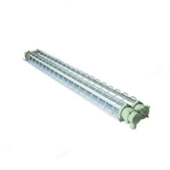 Đèn chống cháy nổ dài BPY 2x40 Paragon